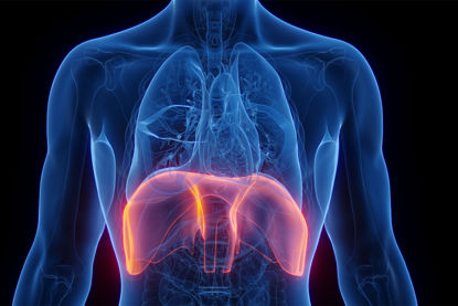 Picture of Zwerchfell Behandlung 75min