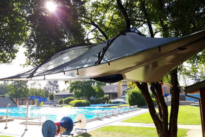 Picture of Träumen in den Bäumen