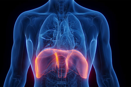 Bild für Kategorie Zwerchfell Behandlungen